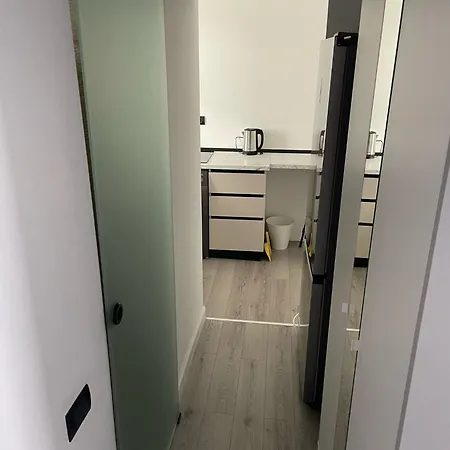 Fancy 1 Bdrm In Center *