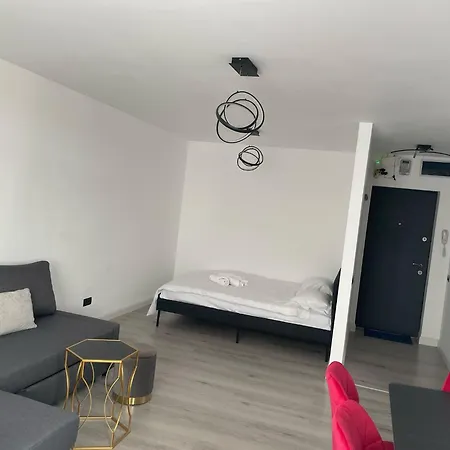 Fancy 1 Bdrm In Center בוקרשט