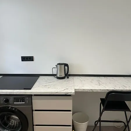 Fancy 1 Bdrm In Center Apartment