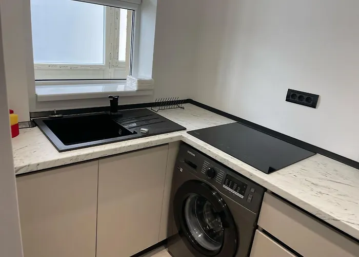 Fancy 1 Bdrm In Center