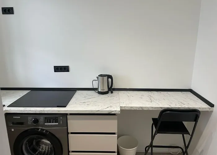Fancy 1 Bdrm In Center Apartment