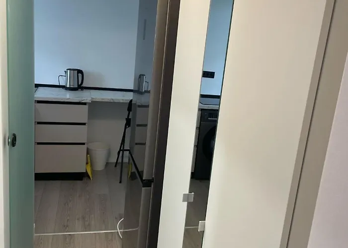 Fancy 1 Bdrm In Center Apartment Bucharest